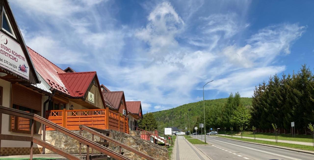 Apartament Dla Dwojga Ustrzyki Dolne Εξωτερικό φωτογραφία